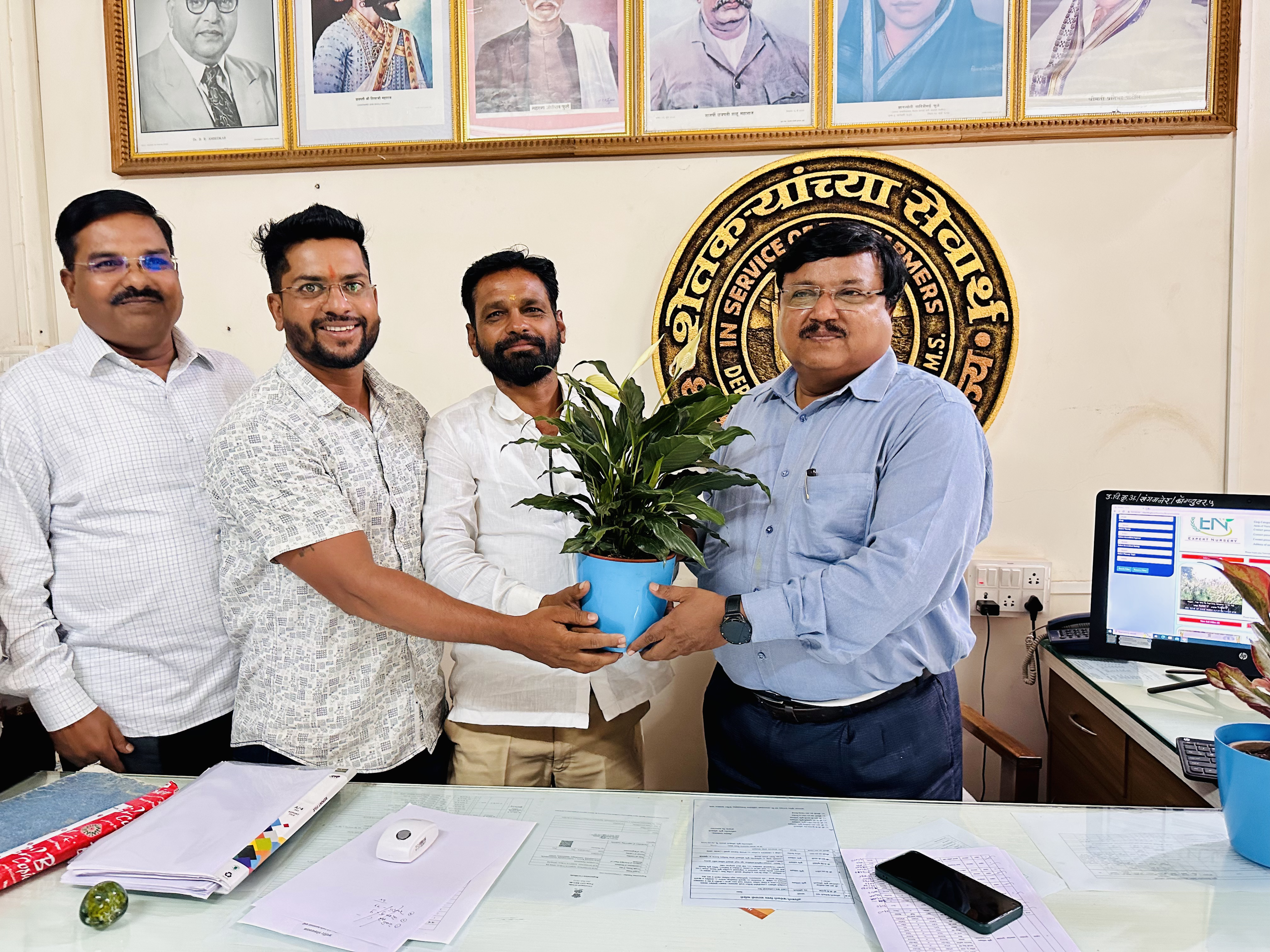 Fresh pomegranate harvest